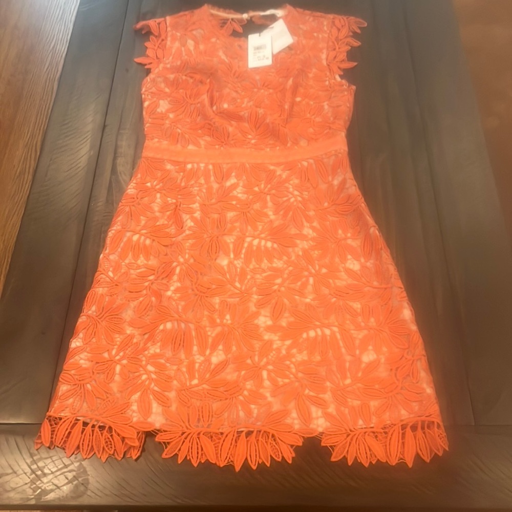 NWT Reiss designer cocktail dress